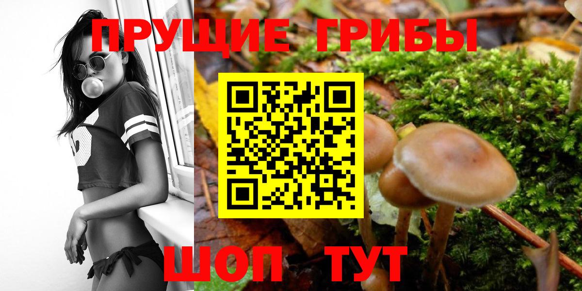 Саянск  дарнет шоп  Вход с VPN  Псилоцибиновые грибы Cubensis 